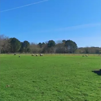 Visuel de la campagne à Cubnezais pour illustrer le stage de printemps du 20 au 23 mars 2026